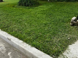 MiAh K.'s Yard Cutting service result