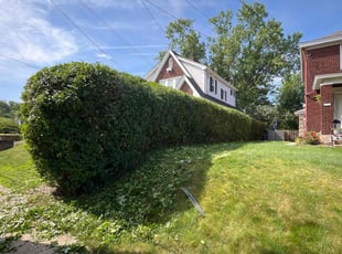 Bush Trimming by Vincent Daniele for Dakota G. in Pittsburgh, PA