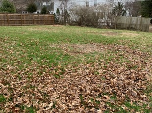 Cleanups by Nick Richardson for Marlar H. in Fort Wayne, IN