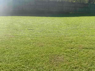 Ramzi A.'s Lawn Maintenance service result