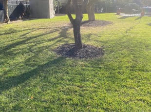 Leaf Removal by Moreno Santiago for John C. in Cherry Hill, NJ