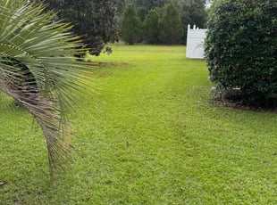 Megan D.'s Lawn Care service result