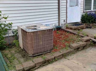 Weeding by Andrew Lippincott for Maria N. in Minneapolis, MN