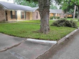 Charna C.'s Yard Cutting service result