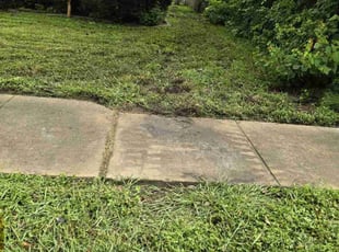 Cleanups by Hugo Melgar for Carlos E. in Houston, TX