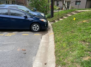 Leaf Removal by Cristian Ramirez for Kristin P. in Silver Spring, MD