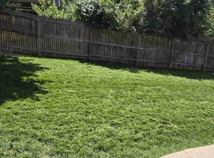 Tracy R.'s Lawn Care service result