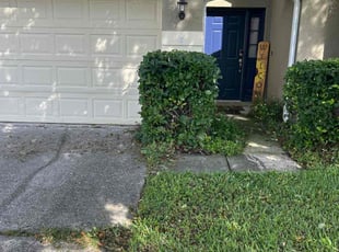 Bush Trimming by Charles Howard for Nichole M. in Zephyrhills, FL