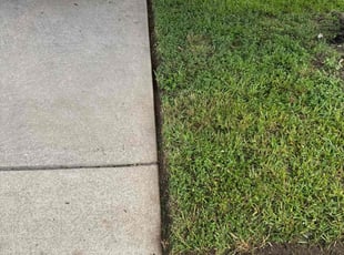 Silvio d.'s Yard Cutting service result