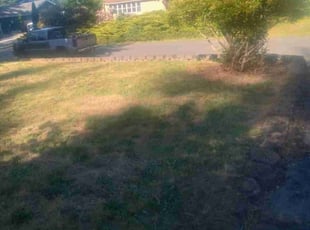 Bush Trimming by Faaupu Kanipe for Bill f. in Bonney Lake, WA