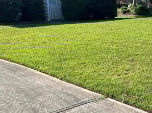 Chris C.'s Lawn Maintenance service result