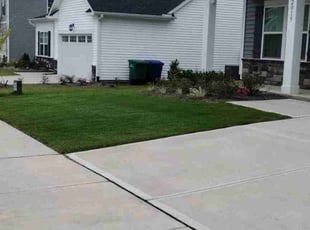 David R.'s Grass Cutting service result