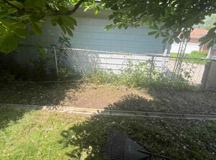 Bush Trimming by Christian Worsley for norvell C. in Eastpointe, MI