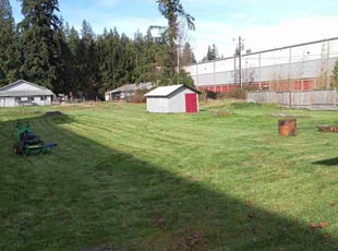 Jarrod E.'s Lawn Mowing service result