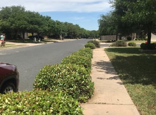 Bush Trimming by Isaiah Fiechtner for Daniel B. in Leander, TX
