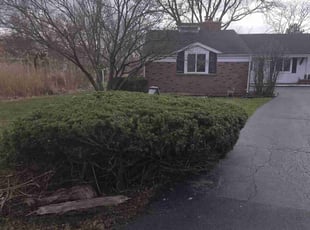 Landscaping by David Lopez for Dakota S. in Sleepy Hollow, IL