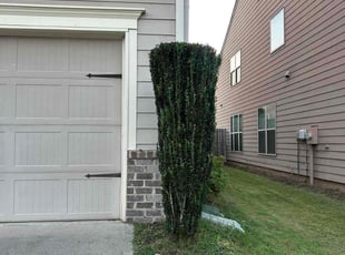 Bush Trimming by Dutch Lawn Care for Satya K. in Cumming, GA