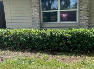 Bush Trimming by Jerry Merus for Lauren R. in Windermere, FL