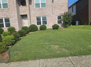 Bush Trimming by Sandro Cardoso for Tiffany T. in Cedar Hill, TX