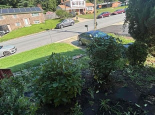 Bush Trimming by Michael Craig for Pawnee D. in Fort Washington, MD