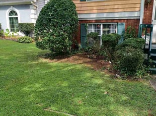 Bush Trimming by Tyry Crawford for Jamarcus T. in Stone Mountain, GA