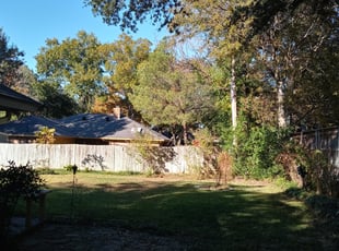 Bush Trimming by Gralin Johnson for 3515 Henry Court Arlington, TX 76017 C. in Arlington, tx