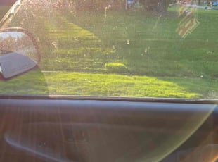 Weeding by Antoine Ayers for Jackie M. in Farmington Hills, MI