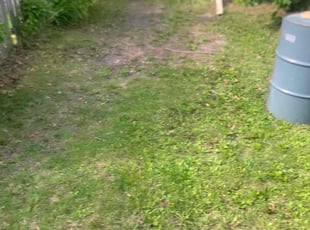 Leaf Removal by Jawahun Heard for Phonso J. in Saint Paul, MN