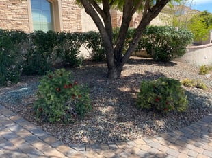 Cleanups by jimmy ruiz for Linda S. in Mesa, AZ