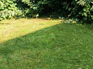 Gerilyn C.'s Grass Cutting service result