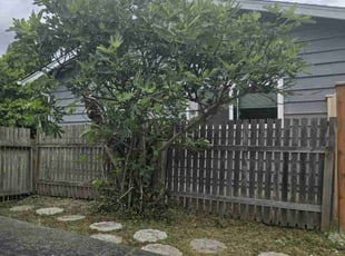 Cleanups by Jason C for Daniel G. in Lynnwood, WA