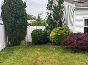 Bush Trimming by Jovan Barber for Lynnette W. in Toms River, NJ