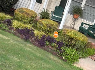 Bush Trimming by Naji Robinson for Jackie W. in Anderson, SC