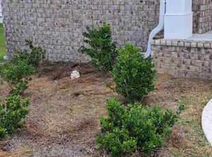 Weeding by Doug Carter for April J. in Fairburn, GA