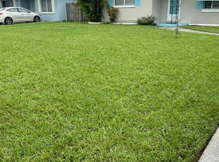 Seunghee H.'s Grass Cutting service result