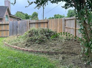 Cleanups by Marlon Spencer for Nick D. in Missouri City, TX