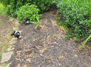 Leaf Removal by Gladis Carcamo for Raymond J. in Richmond, TX