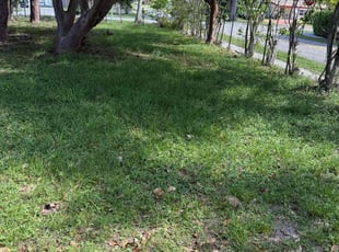 Cleanups by Erickson Lucien for Joshua E. in North Miami Beach, FL