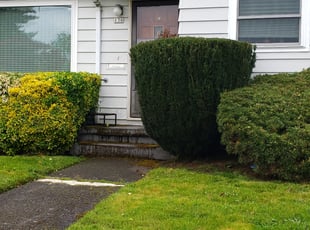 Bush Trimming by J P for Corin A. in Portland, OR