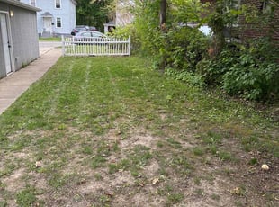 Leaf Removal by Ricardo Flores for Luis D. in Waukegan, IL