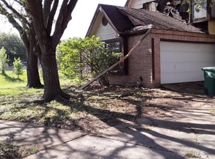 Cleanups by Joseph Wanjigi for Beverly H. in Houston, TX