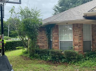 Bush Trimming by James Maceo for Erik S. in Arlington, TX