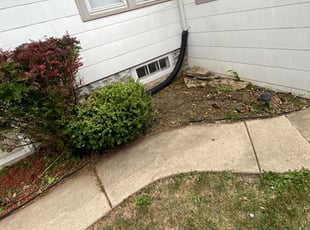 Bush Trimming by H S for Jack G. in West Milwaukee, WI