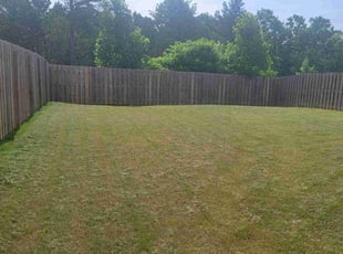 Blake D.'s Lawn Care service result