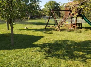 Kelly L.'s Lawn Service service result