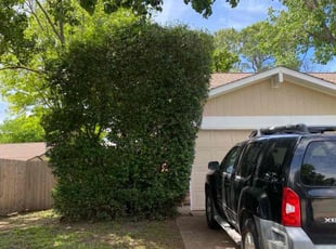 Bush Trimming by Jose Tovar for George W. in Bedford, TX