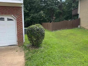 Bush Trimming by Samarrio Conney for Mattie S. in Jonesboro, GA