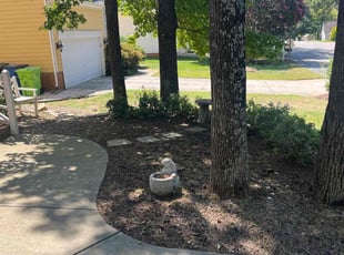 Weeding by Lailani Jacobs for Madeleine P. in Raleigh, NC