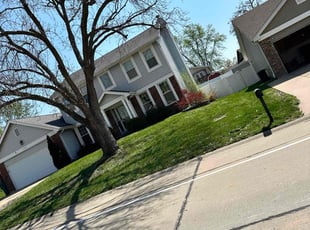 Jeffrey K.'s Lawn Mowing Service service result