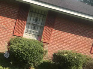 Bush Trimming by Kristopher Anderson for Lisa K. in Baton Rouge, LA